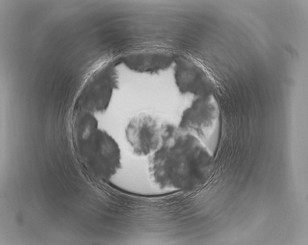 X0000115650679200912081125