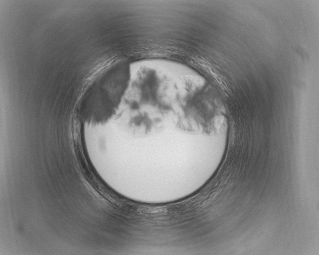 X0000115650683200912081125