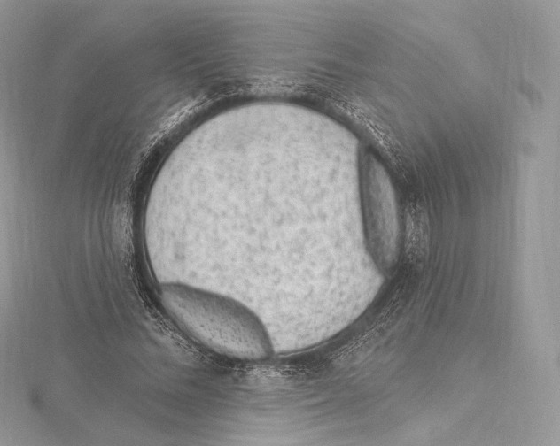 X0000115650684200912081125