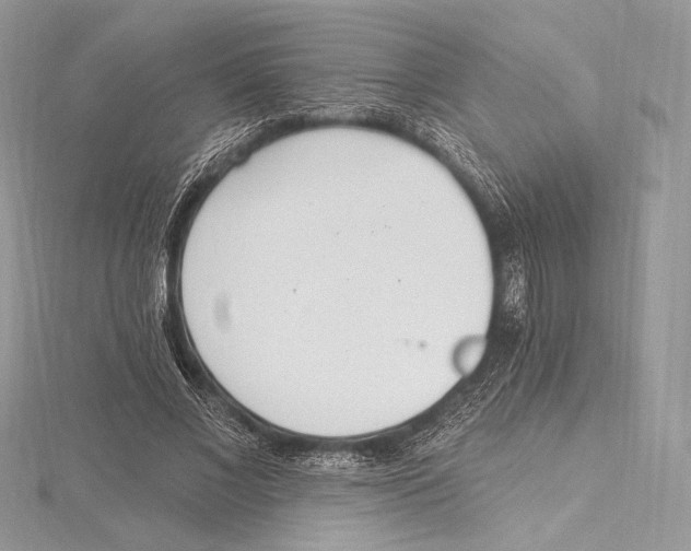 X0000115650685200912081125