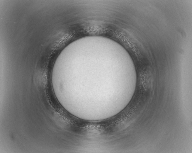 X0000115650690200912081125