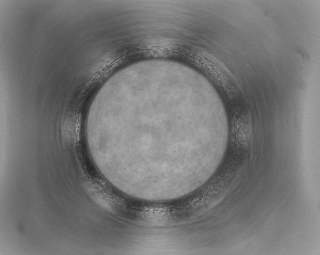 X0000115650694200912081125