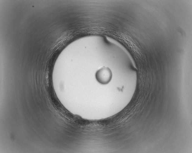 X0000115650696200912081125