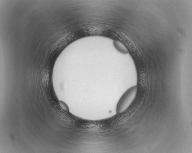 X0000115650697200912081125