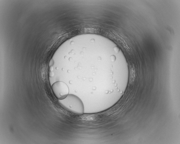 X0000115650698200912081125