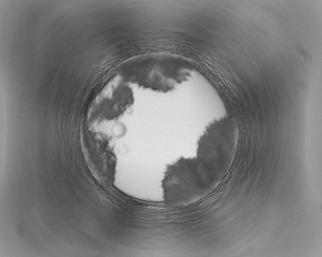 X0000115650699200912081125