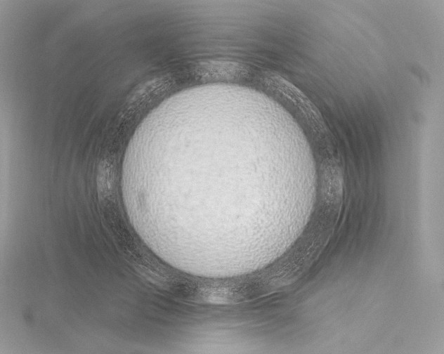 X0000115650701200912081125