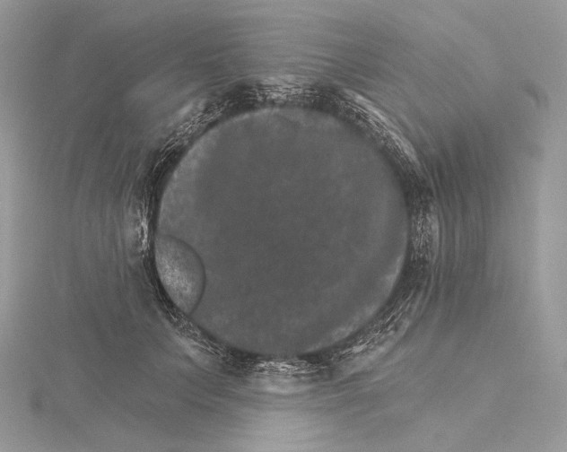 X0000115650703200912081125