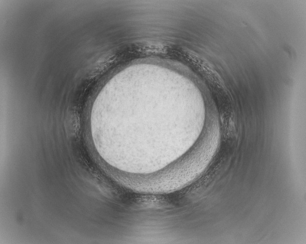 X0000115650704200912081125