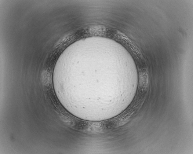 X0000115650705200912081125
