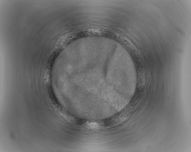 X0000115650706200912081125