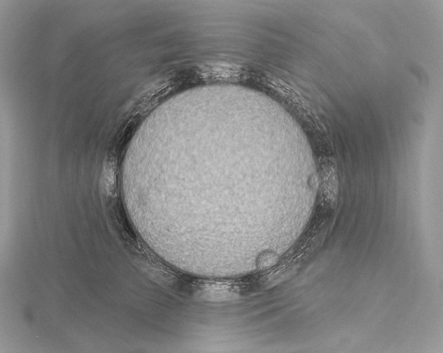 X0000115650709200912081125