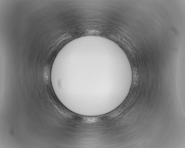 X0000115650710200912081125