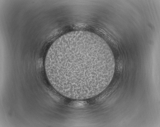X0000115650711200912081125