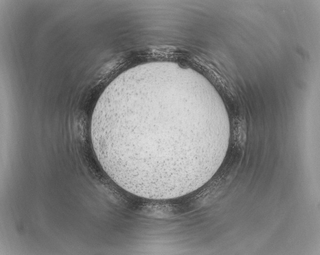 X0000115650712200912081125