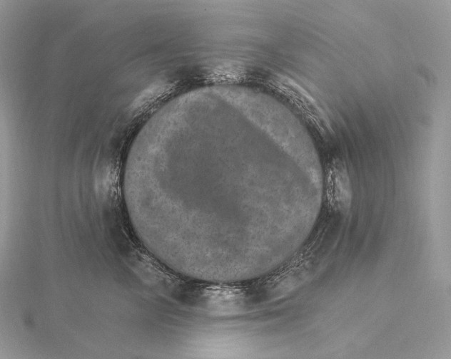 X0000115650714200912081125