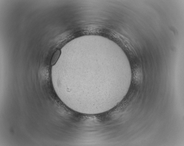 X0000115650715200912081125