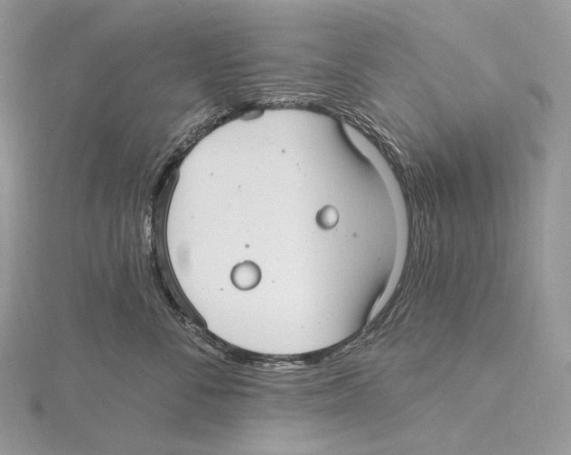 X0000115650716200912081125