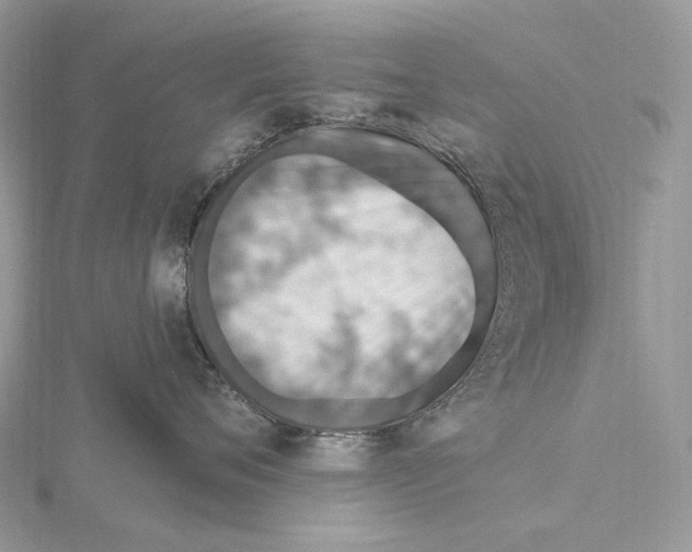 X0000115650720200912081125