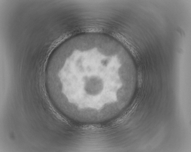 X0000115650721200912081124