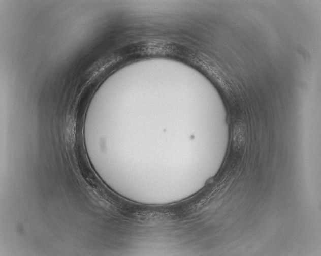 X0000115650722200912081124