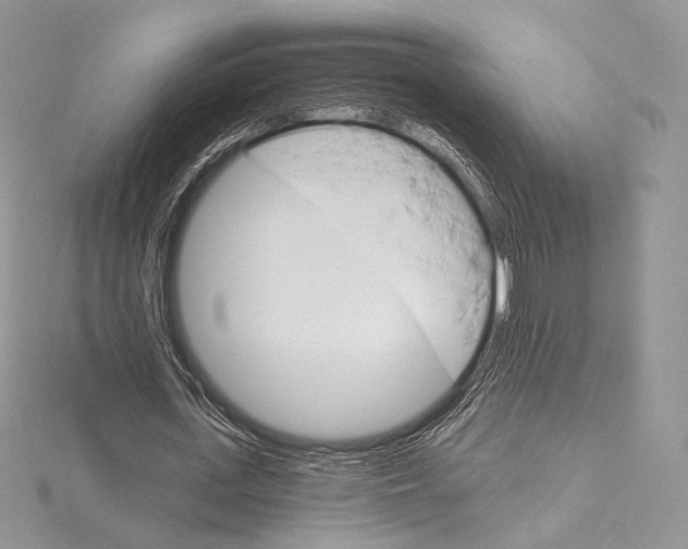 X0000115650723200912081124