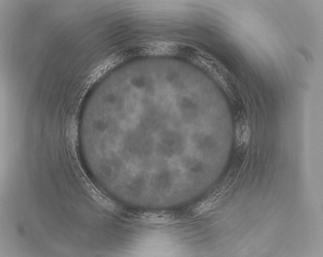 X0000115650725200912081124