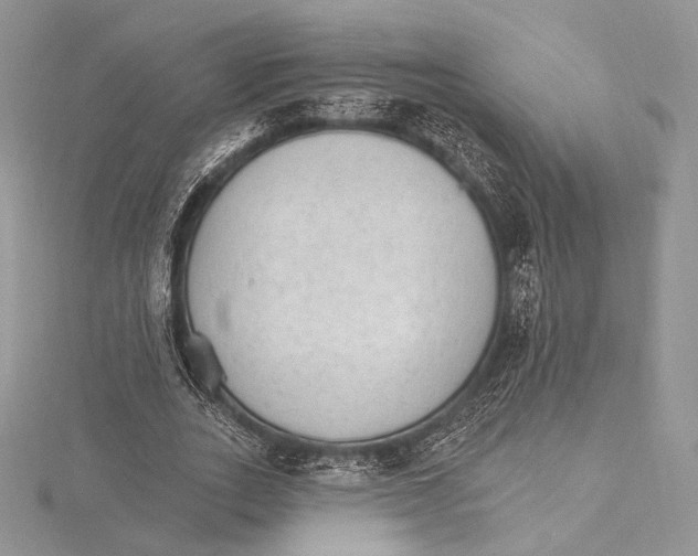 X0000115650727200912081124