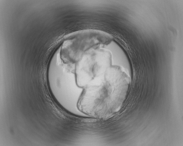 X0000115650729200912081124