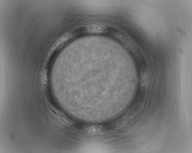 X0000115650731200912081124