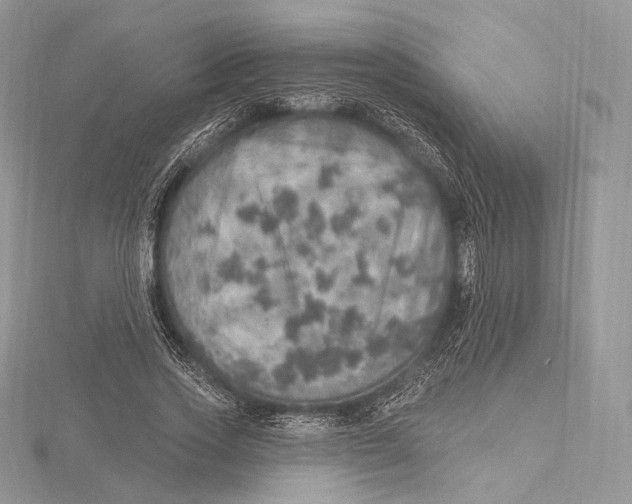 X0000115650733200912081124