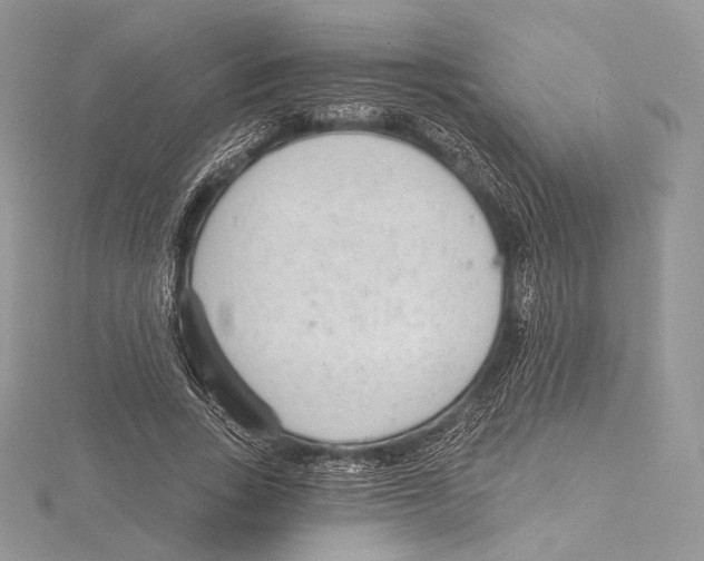 X0000115650735200912081124