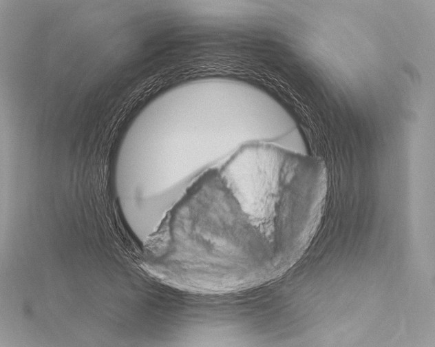 X0000115650737200912081124