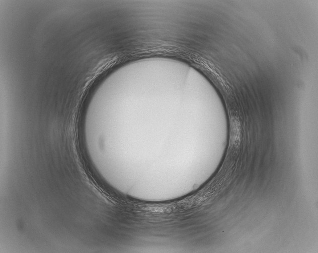 X0000115650738200912081124