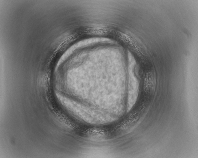 X0000115650739200912081124