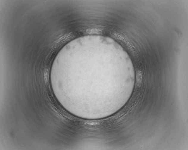 X0000115650741200912081124