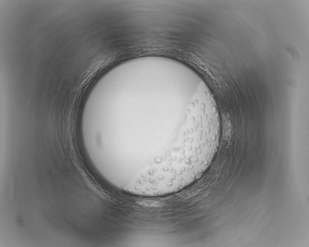 X0000115650742200912081124