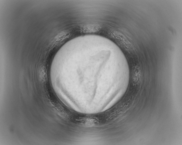 X0000115650743200912081124