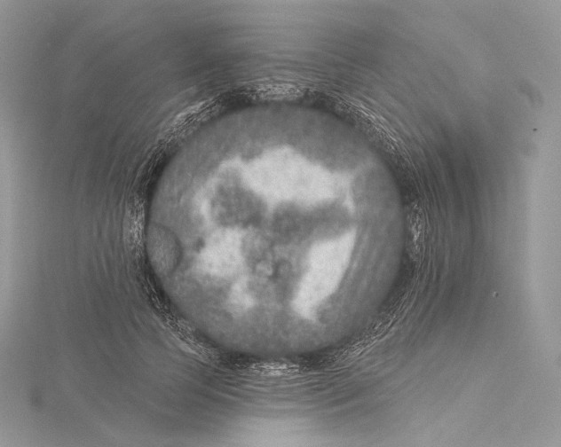 X0000115650745200912081125