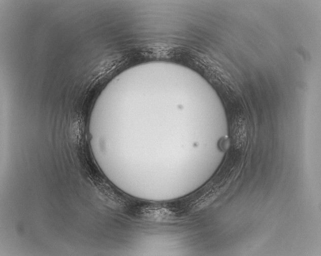 X0000115650747200912081125