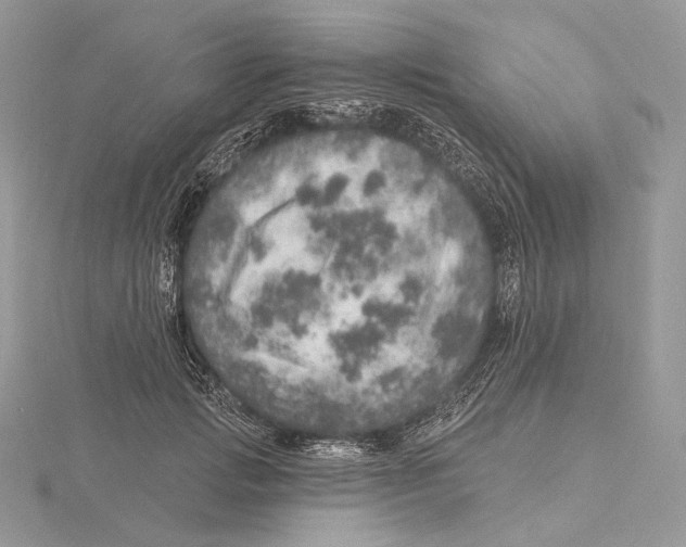 X0000115650749200912081125