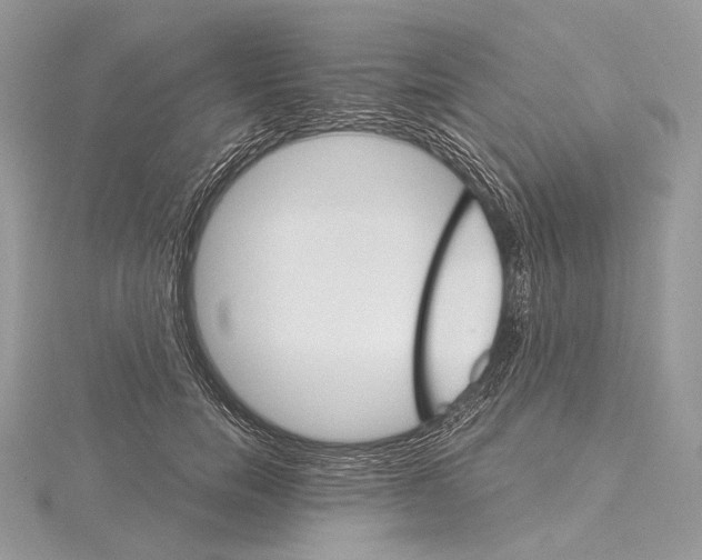 X0000115650750200912081125