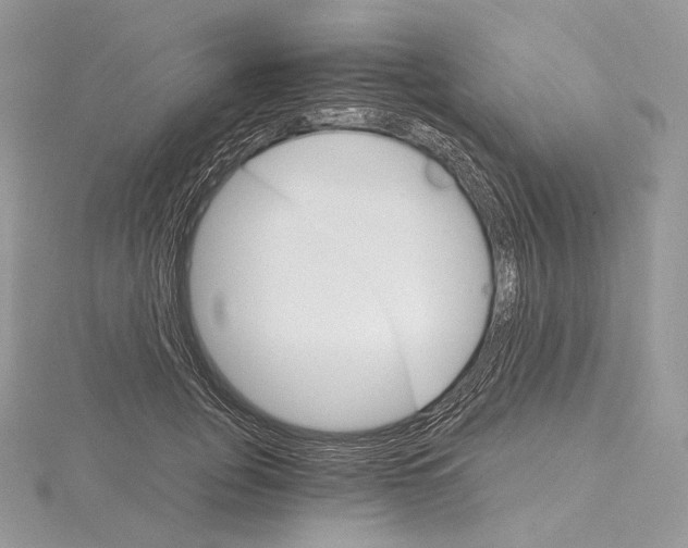 X0000115650751200912081125