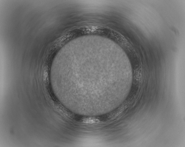 X0000115650754200912081125