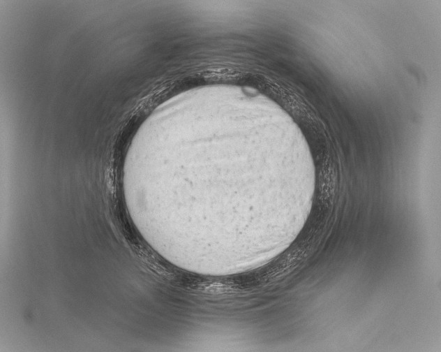 X0000115650755200912081125