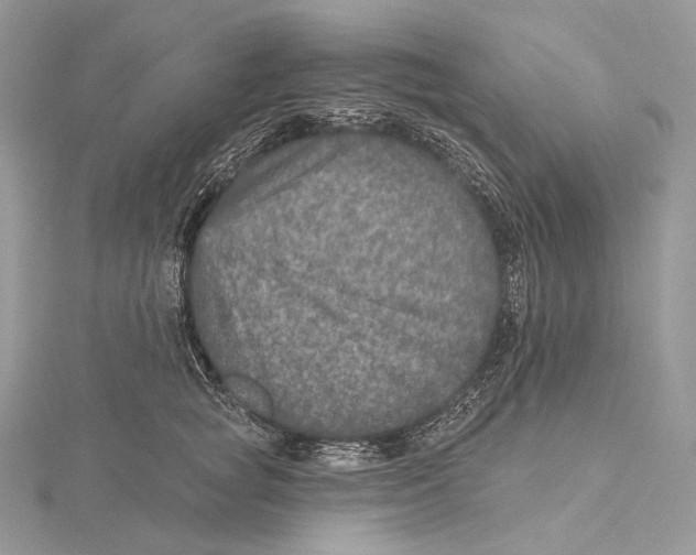 X0000115650757200912081125