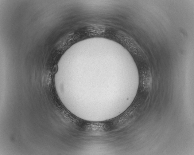 X0000115650758200912081125