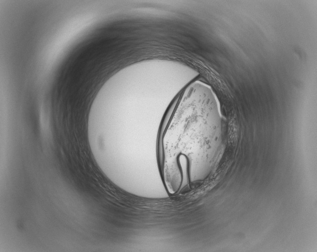 X0000115650762200912081125