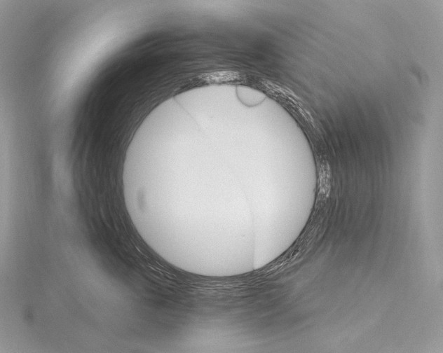 X0000115650763200912081125