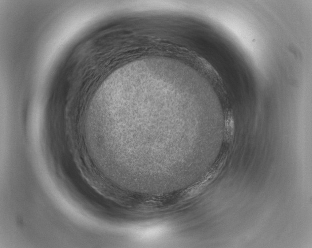 X0000115650765200912081125